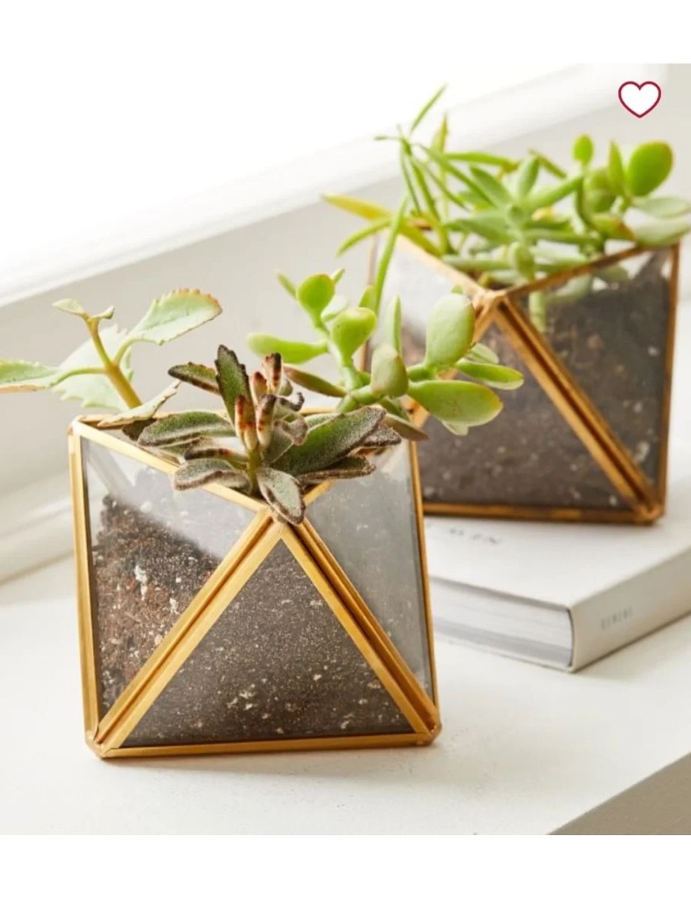 West Elm Faceted Terrarium